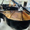 Shiny Black Baby Grand - Reduced!