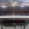 Hamburg Steinway B (6'11") in Exotic Sapele Mahogany - RARE - Image 12