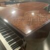 Hamburg Steinway B (6'11") in Exotic Sapele Mahogany - RARE - Image 3