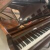 Hamburg Steinway B (6'11") in Exotic Sapele Mahogany - RARE - Image 10